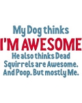 My Dog